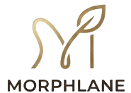 MorphLane